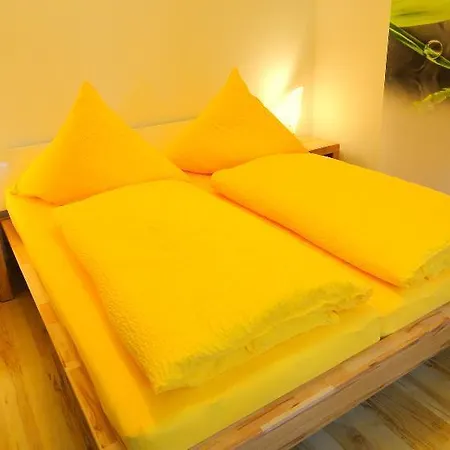 Appartamento Ferienwohnung Ginkgo Ii Dresda